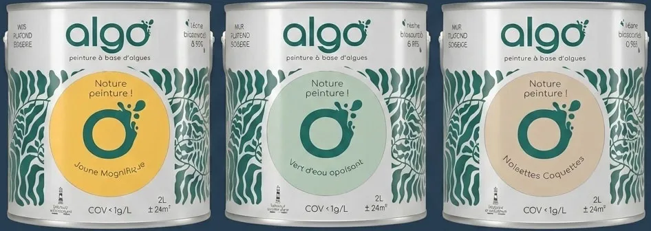 Pots de peintures ALGO